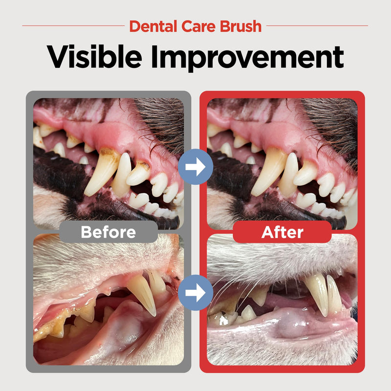 JAYU PET Dental Care Brush (Soft Bristles) 3ea - Dog Toothbrush, Cat Toothbrush, Dental Care for Kitten and Small Dogs, Removing Old Plaque and Tartar, Cat Teeth Brushing & Easy Cleaning Soft Bristles 1 Count (Pack of 3) - PawsPlanet Australia