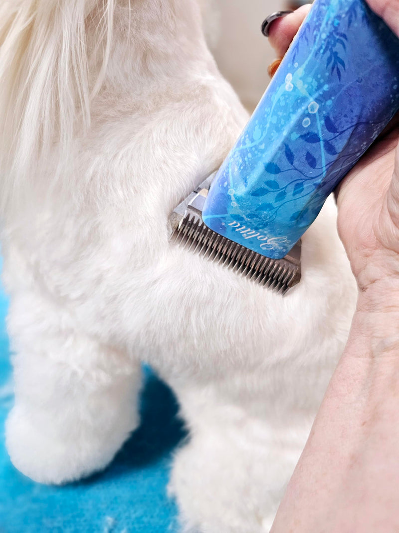 Premium Professional Pet Dog Grooming Wide Clipper Blade 7FW, Grooming Clipper Blade, Grooming Wide Blade, A5 Type Blade, Dog Grooming Wide Blade, Cat Grooming Wide Blade - PawsPlanet Australia