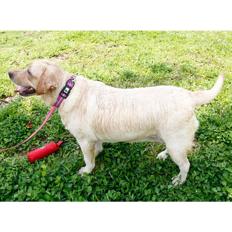NIMBLE Dog Collar Waterproof Pet Collars Anti-Odor Durable Adjustable PVC & Polyester Soft with Reflective Cloth Stripe Basic Dog Collars S/M/L Sizes (Large (15.35”-24.8”inches), Rose Purple) Large (15.35”-24.8”inches)