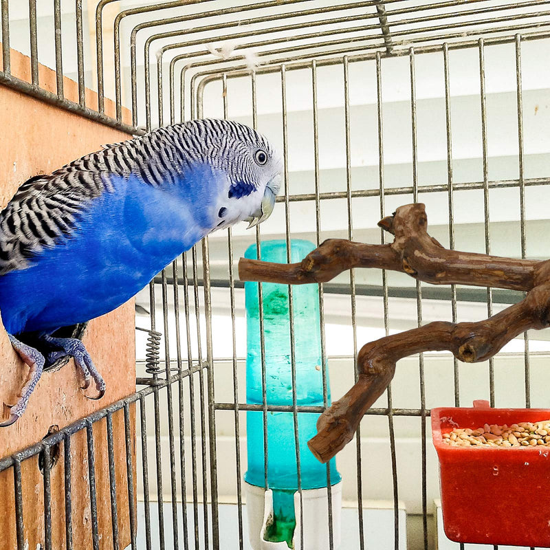 2 Packs Parrot Bird Perches,Natural Wild Grape Stick Grinding Paw Climbing Standing Cage Accessories Toy for 3-4 Parakeets, Budgies, Lovebirds,Cockatiels (Style-1) style-1 - PawsPlanet Australia