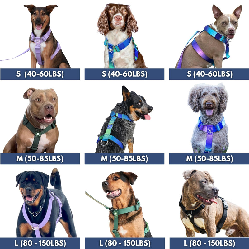 Spark Paws No Pull Dog Harness for Large Dogs, Heavy Duty Dog Harness for Big Strong Breeds, Adjustable, Y Shaped Padded Halter Design with Front Clip - Lime Wave - M Size M [50-85lbs] - PawsPlanet Australia