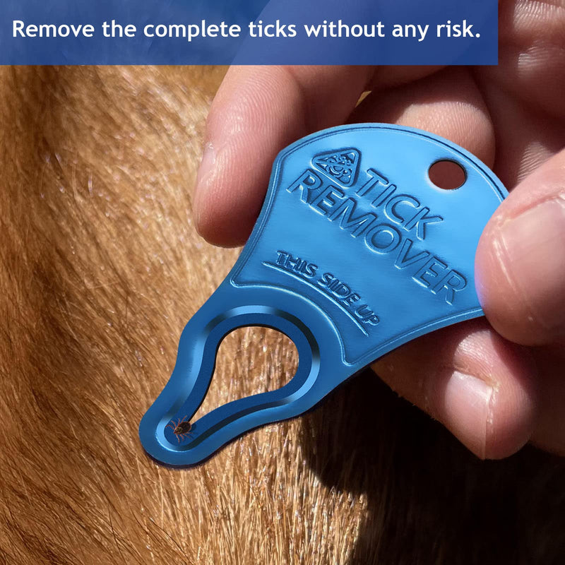 Tick Remover Tool Portable, Tick Removal for Pet and Humans, Safe and Reliable, Pain-Free, Essential Tools for Outdoor Activities- 3 pcs - PawsPlanet Australia