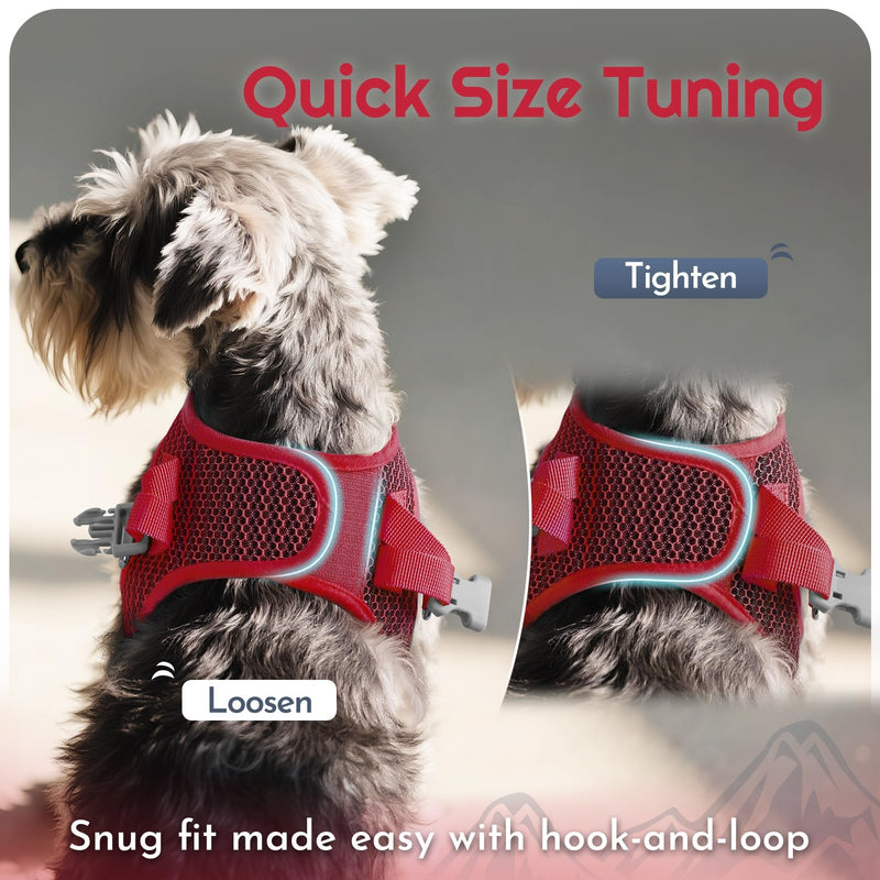 Eagloo Small Dog Harness and Leash Set, Step in Puppy Vest with Breathable Soft Mesh, Walking Reflective Pet Harness for Small Dogs, Red, XS XS(Chest:13.3"-15.5") - PawsPlanet Australia