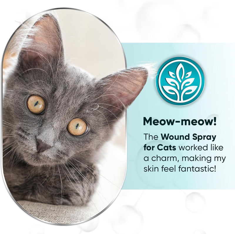 Cat Wound Care Spray is Perfect with Cat Cone | Nano Silver + Chlorhexidine in the Composition | Bites, Scratches, Redness, Irritation, and Sutures After Surgery | 4 Oz