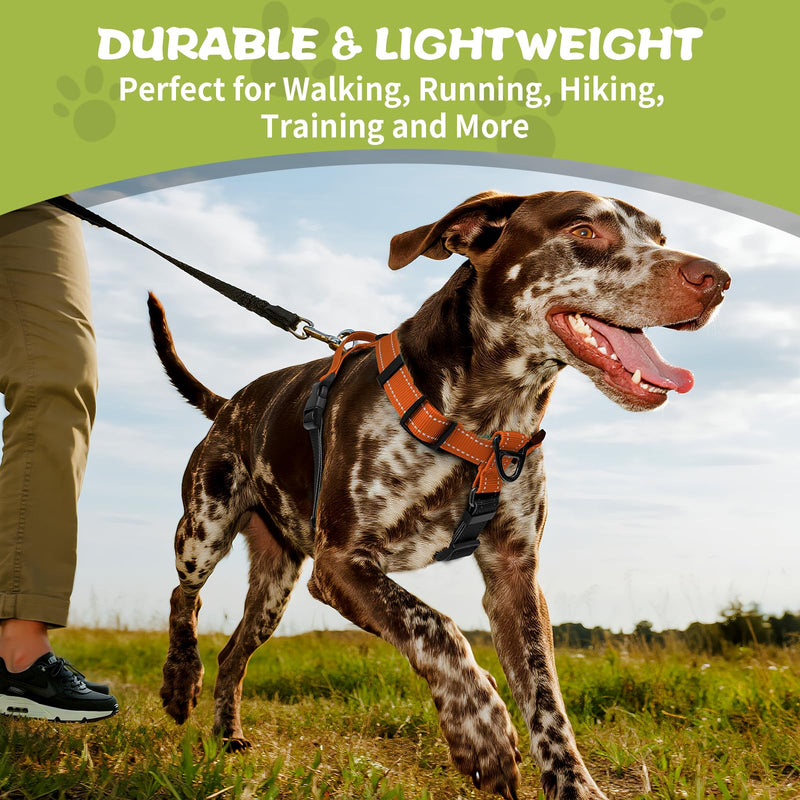 No-Pull Harness,Y-Shaped Design,Buckle-Neck Balance Harness with Reflective Stitching, Ideal for Dog Training and Night Walking, Padded Handle, Durable High-Tensile Nylon-Orange-M Orange M - PawsPlanet Australia