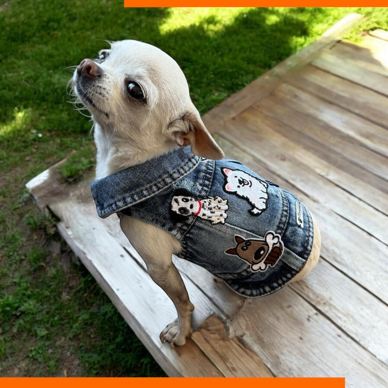 Dog Jean Jacket - Cute Dog Outfits for Small & Medium Pets - Light & Breathable Denim Vest - Stylish Denim Cat Jacket Unique Designs - Easy to Wear & Take Off-Cool Puppy Clothes (X-Small) X-Small - PawsPlanet Australia