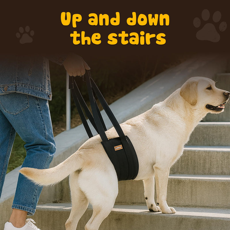 Dog Lift Harness – Adjustable Sling for Large Dogs Hind Leg Support – Comfortable Dog Support Harness for Back Legs – Recovery Sling for Dogs Elderly or Injured (Large (L)) Large (L) - PawsPlanet Australia