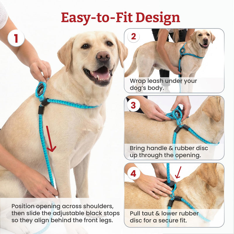 Harness Lead Dog Harness and Lead, Anti-Pull Dog Harness, One Piece Padded Rope, Safely Prevents Escape and Pulling, The New Insert is Removable (S/M, Pink/Purple) S/M (14-40 lbs)