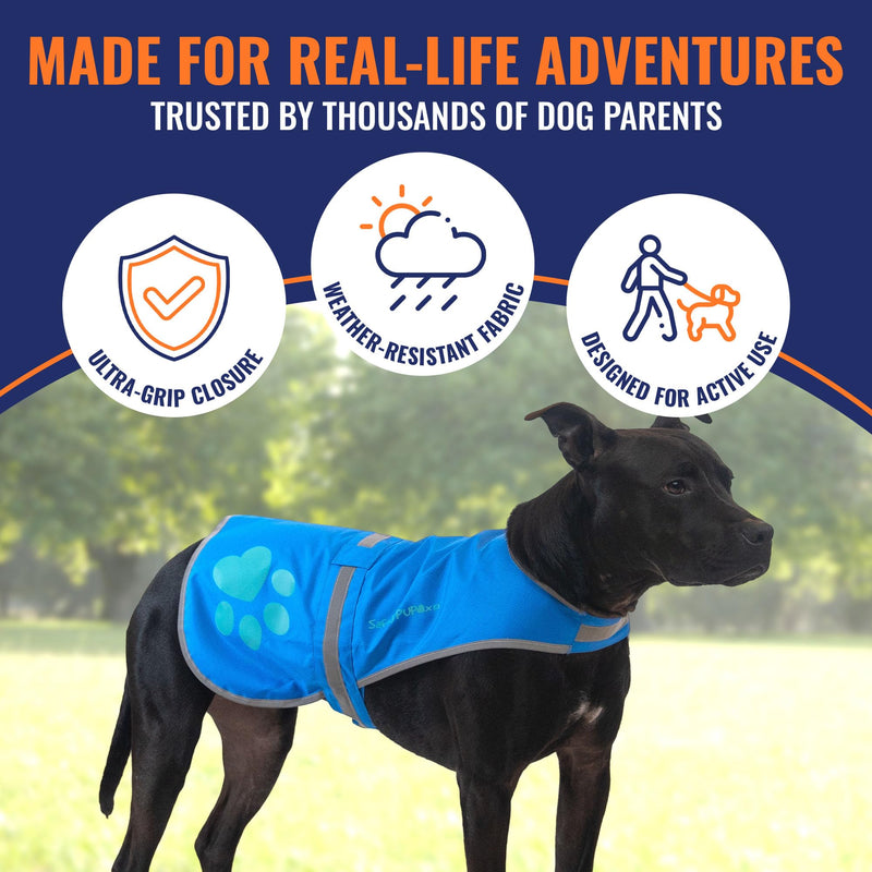 SafetyPUP XD Dog Reflective Vest – Hi-Vis Fluorescent Visibility That Helps to Safeguard Your Pet On/Off Leash in Urban & Rural Areas (Blue, X-Large) Blue - PawsPlanet Australia