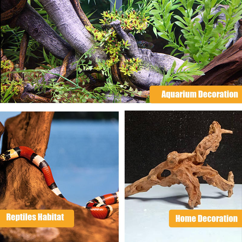 Aquarium Driftwood Natural Trunk Driftwood Assorted Branches 3.9-5.9" Assorted Trunk Terrarium Ornament(5 Pcs) - PawsPlanet Australia