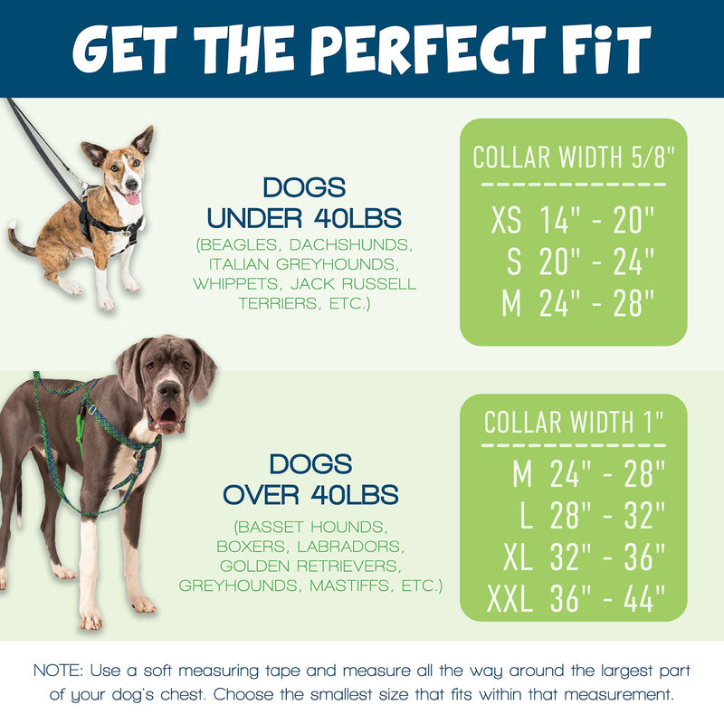 2 Hounds Design Freedom No Pull Dog Harness, Adjustable Harness and Leash Set, Easy Walking & Comfortable Control, Fits Small, Medium & Large Dogs, Solid Colors, Made in USA, 1" LG, Kelly Green LG (Chest 28" - 32") - PawsPlanet Australia