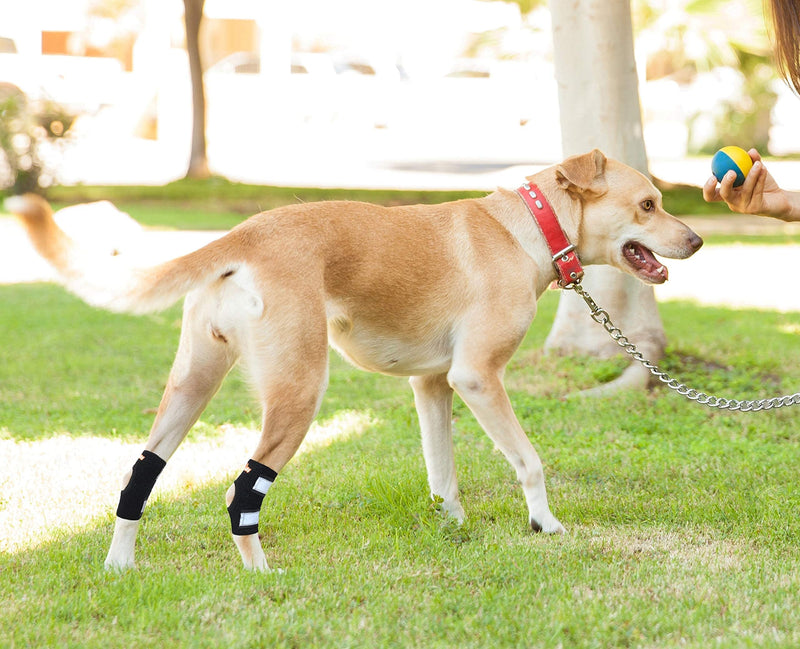 NeoAlly Cat and Dog Ankle Brace Pair Canine Rear Leg Hock Support with Safety Reflective Straps for Hind Leg Wounds Heal and Injuries and Sprains from Arthritis (XS Pair) XS (1 Pair) Black