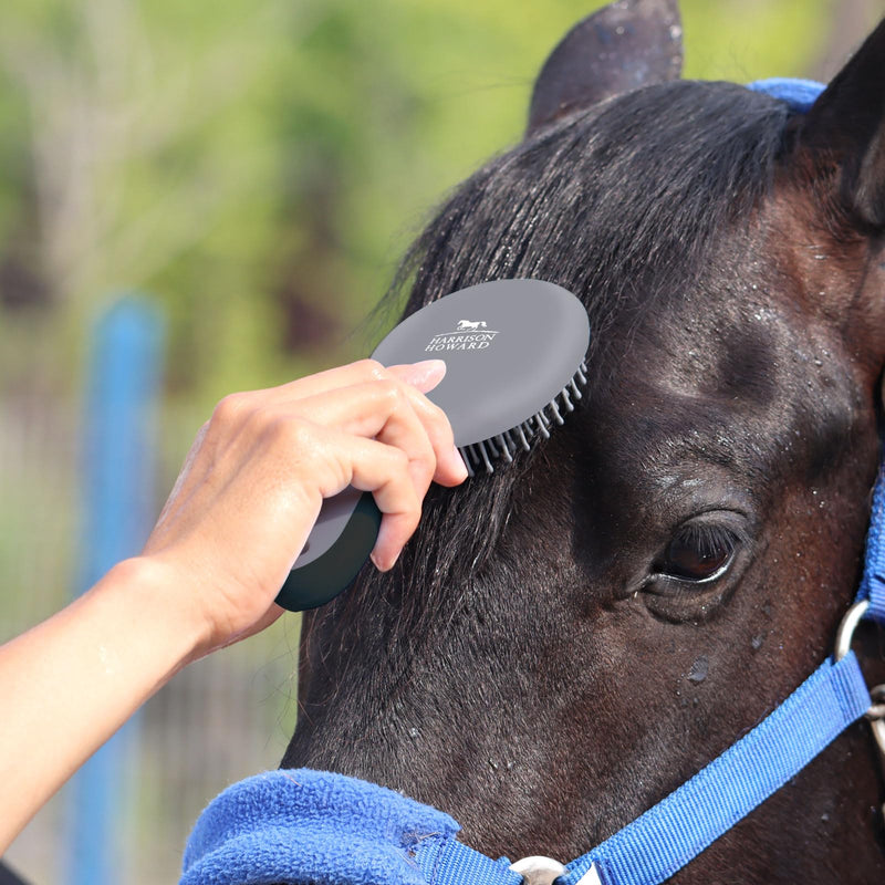 Harrison Howard Horse Mane and Tail Brush - Professional Grooming Brush, Equestrian Detangler, Non-Slip, Black - PawsPlanet Australia