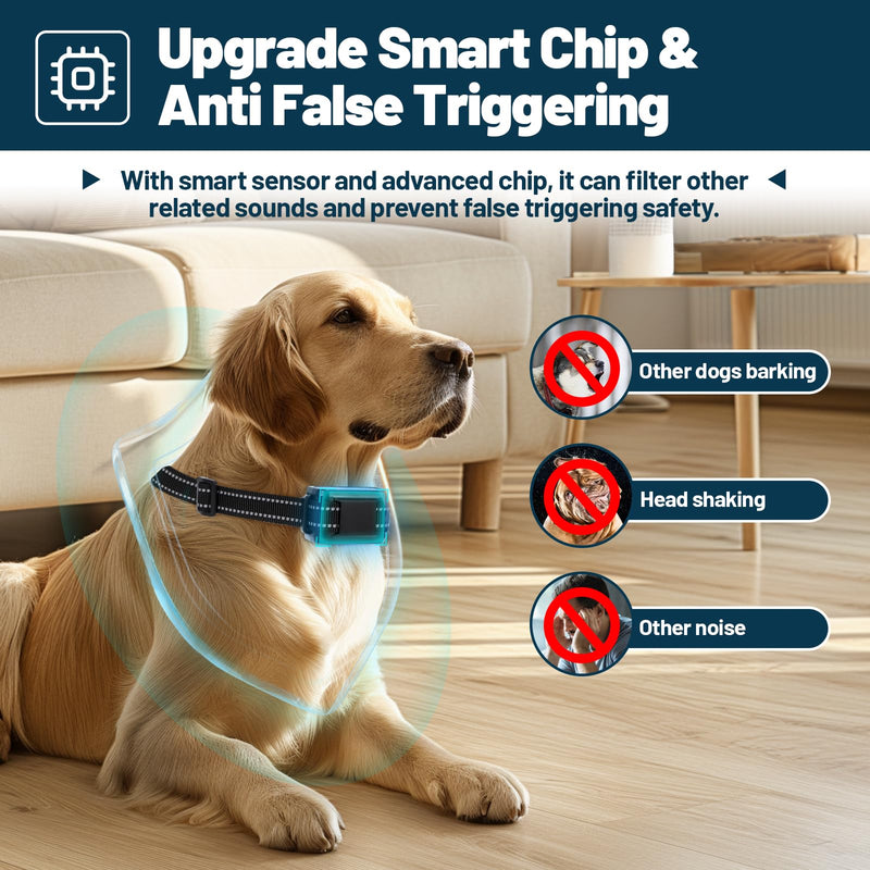Citronella Bark Collar, Rechargeable Anti Bark Collar [1 Citronella Spray Refill] 2 Adjustable Spray & Sensitivity Level Humane No Shock Barking Collar for Small Medium Large Dogs/Breed Black-2 Adjustable Spray & Sensitivity Level