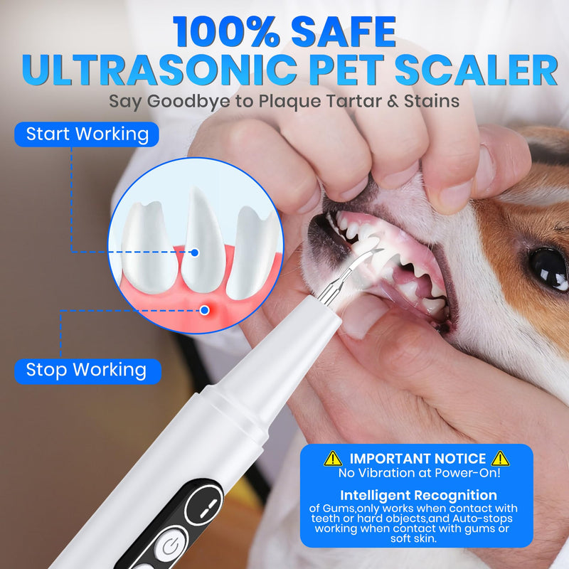 Dog Plaque Remover - Ultrasonic Tooth Cleaner for Dogs,6 Cleaning Modes,TypeC Rechargeable,Waterproof,Professional Dental Care for Dogs