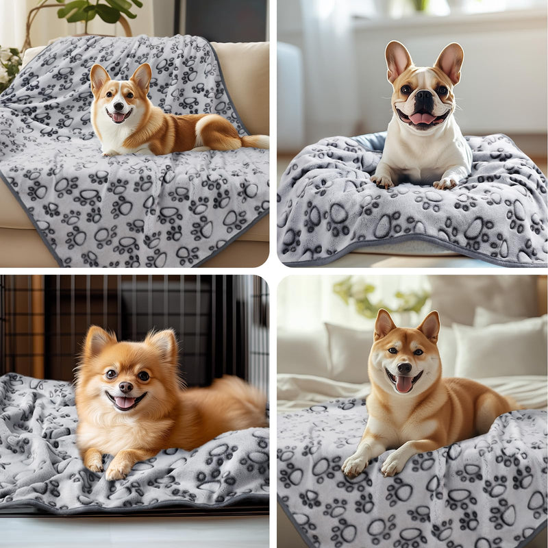 Luciphia Premium Soft Dog Blanket for Small Medium Large Dogs Washable 300GSM Fluffy Warm Fleece Puppy Cat Paw Print Pet Flannel Pcs2 Grey Paw L(41"x31") L(41"x31") - PawsPlanet Australia