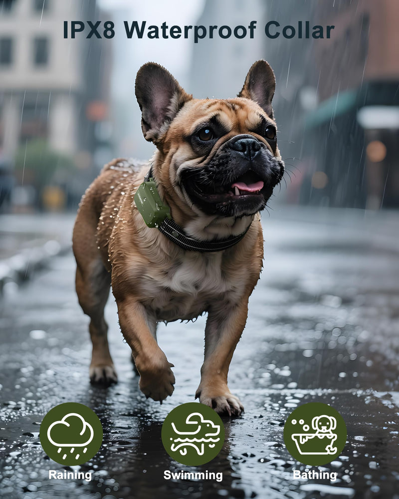 Jugbow Dog Shock Collar - 4500FT Dog Training Collar with Remote, IPX8 Waterproof Electric Dog Collar with 4 Training Modes, Security Lock, Rechargeable eCollar for 10-120lbs Small Medium Large Dogs Green 1 Pack - PawsPlanet Australia