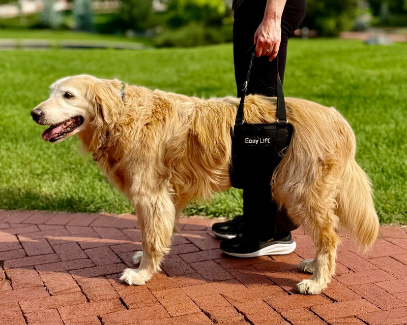 Easy Lift Dog Support Sling, Rear Hind Leg Harness for Injured & Senior Dogs, or Surgery Recovery & Rehabilitation, Padded for Comfort, Ergonomic Design, Machine Wash & Dry (Large/Extra Large) Large / Extra Large