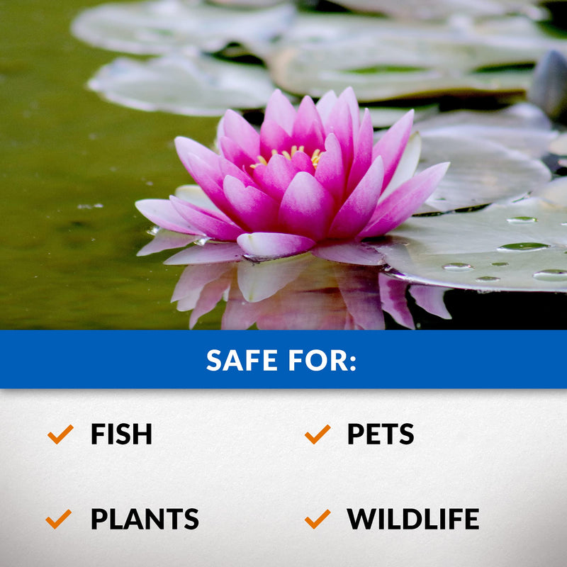 CrystalClear Algae D-Solv Pond Algae Control, Fast-Acting EPA Registered Algaecide, Use in Fountains & Outdoor Ponds Containing Koi & Other Fish, Treats 5,760 Gallons, 16 Ounces - PawsPlanet Australia