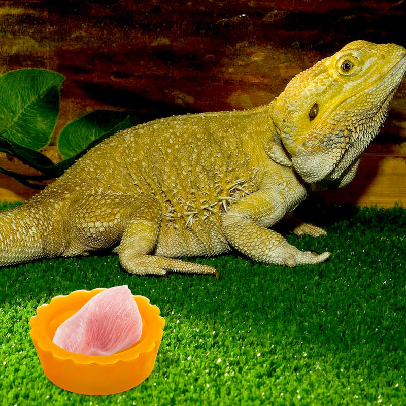 12PCS Gecko Food Cups, Plastic Crested Geckos Food Dish, Reptile Crested Silicone Bottle Caps, Mini Tray for Geckos Feeding Cups Easy to Clean - PawsPlanet Australia
