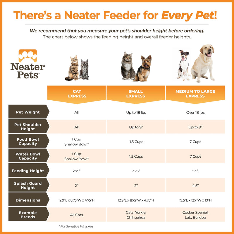 Neater Feeder Express Mess Proof Cat Bowls Elevated, No Spill Feeding Station, Stainless Steel Dishes for Food and Water, Raised Bowls for Indoor Cats, No Fatigue Whisker Friendly Dish, Gunmetal Grey Cat with Regular Bowls