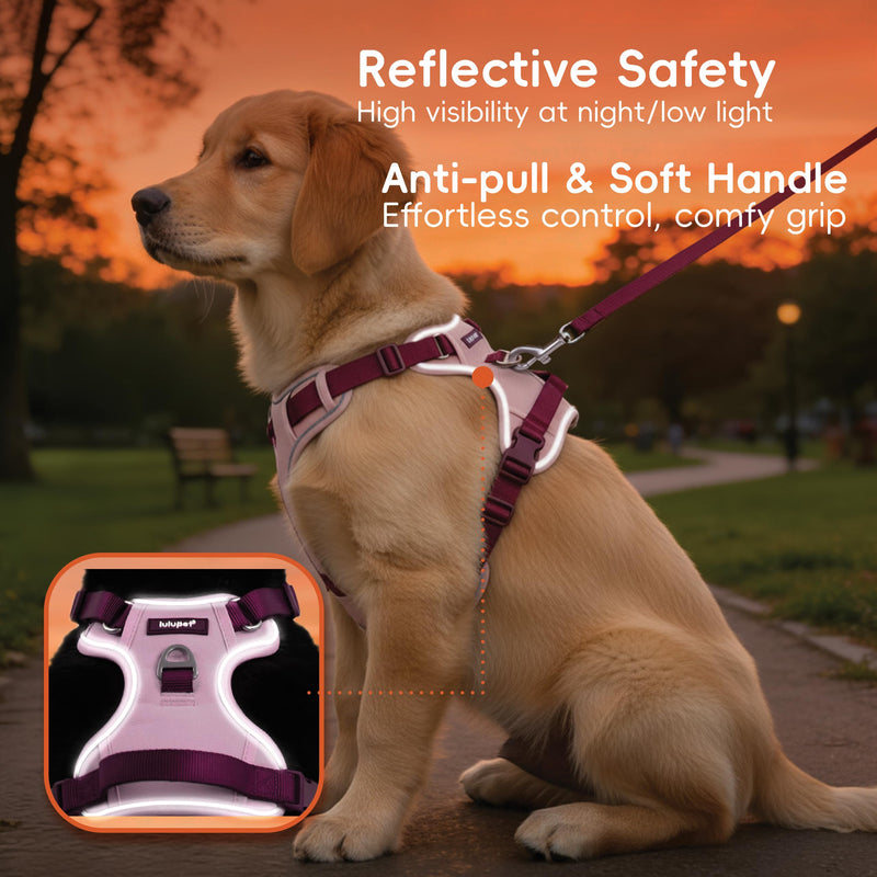 3 in 1 No Pull Dog Harness Leash and Collar Set, Soft Adjustable Dogs Vest Reflective and Comfortable Handle Pink Large L(Neck:19-27",Chest:26-34") 66-87 lbs - PawsPlanet Australia
