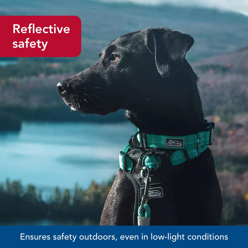 Coastal Pet - K-9 Explorer - Brights Reflective Adjustable Dog Collar, Lake, 5/8" x 10"-14" 5/8" x 10"-14" (Pack of 1) - PawsPlanet Australia