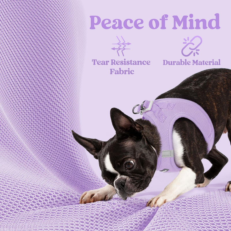rabbitgoo Dog Harness Small Dog, Step-in Soft Mesh Puppy Harness with Reflective Strips, Lightweight Breathable Pet Vest for Walking Training, Light Purple, M