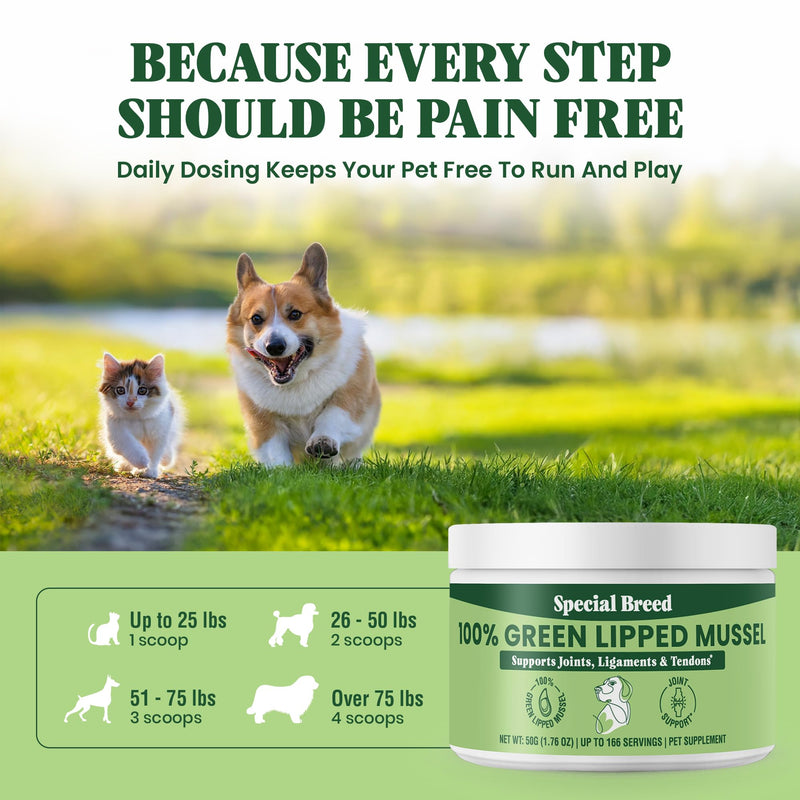 Green Lipped Mussel Powder for Dogs & Cats - 100% New Zealand Green Lipped Mussels - Natural Hip & Joint Supplement for Joints, Tendons, Ligaments, Muscles - 50 Grams - Up to 166 Servings