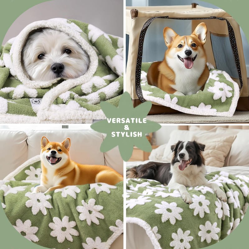Luciphia Waterproof Pet Blanket for Medium Large Dogs Washable Fluffy Thick Jacquard Shag Fleece Warm Sherpa 3D Textured Flower Print for Cats Puppy Couch Protection (Green,57x40 inches) Green 57x40 inches - PawsPlanet Australia