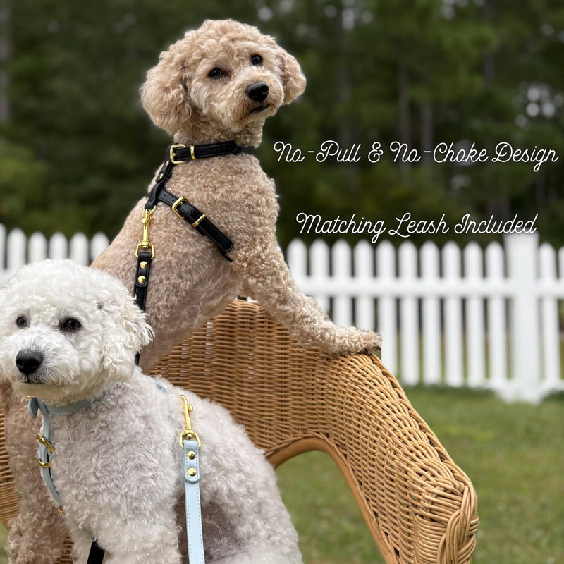 Luxury Dog Harness and Leash Set, Adjustable Padded Pet Harness for Small, to Large Dogs, No Pull H-Shaped Design with Handle, Premium Comfort and Control, Stylish Pink(S) Dog Harness. Small (S) - PawsPlanet Australia