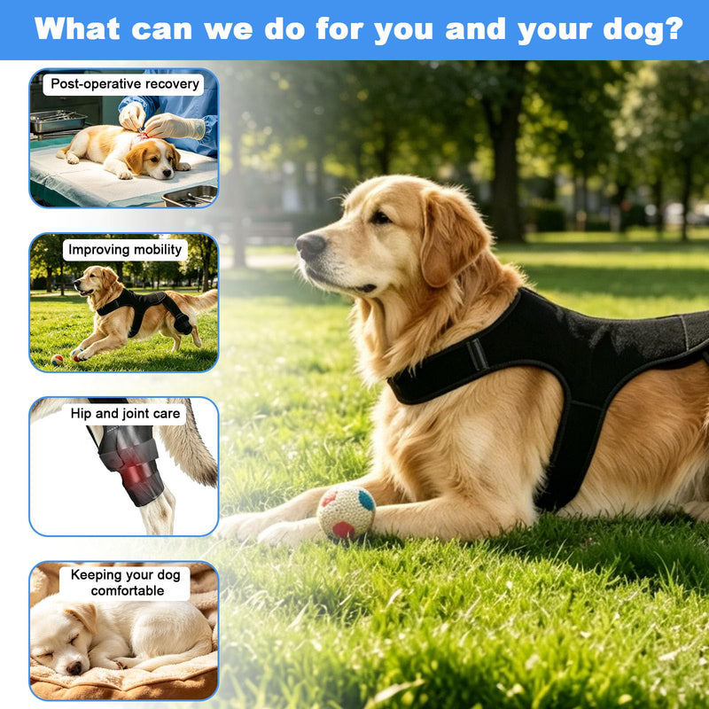 Penitue Dog Knee Brace Hind Leg, Adjustable Dog Hind Leg Braces Support System with 4 Stabilizers & Hip Support (XL) XL