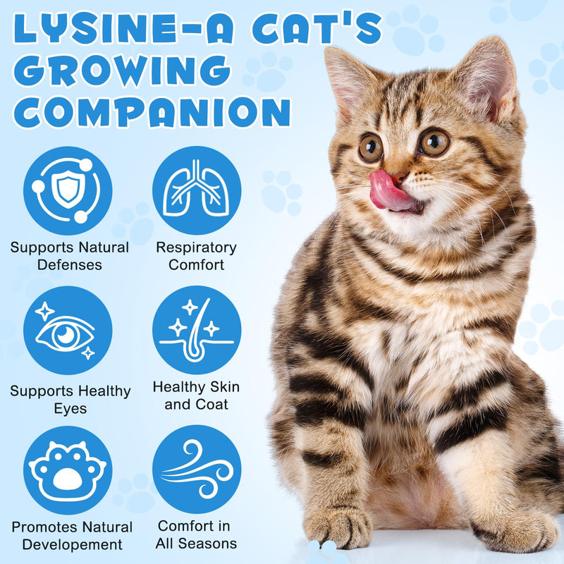 L-Lysine for Cats, L-ysine Supplement for Cats, Cat Immune Support, Cat Lysine Drops, 60ML Drops for Respiratory, Sneezing, Runny Nose, Eye Function, Allergy Relief for Kittens