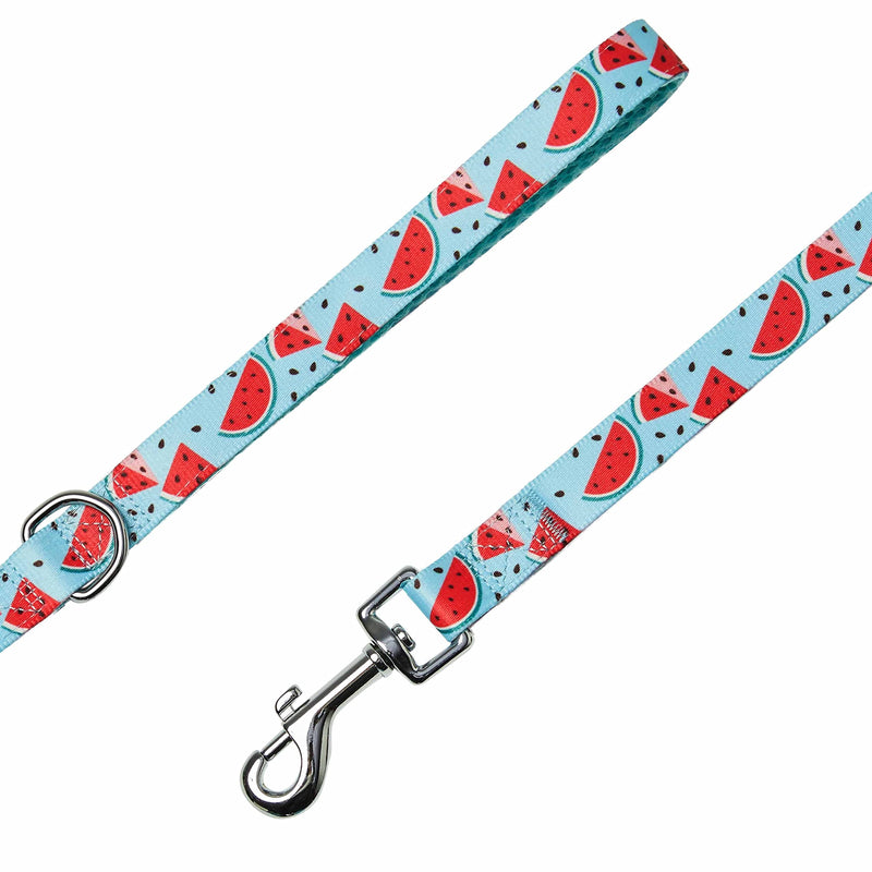 Blueberry Pet Summer Sparkle Dog Leash, Medium Size, 5 ft x 3/4", Blue, Zesty Fruit Watermelon Print Pet Leash 5' * 3/4" (Pack of 1) Slices of Watermelon - PawsPlanet Australia
