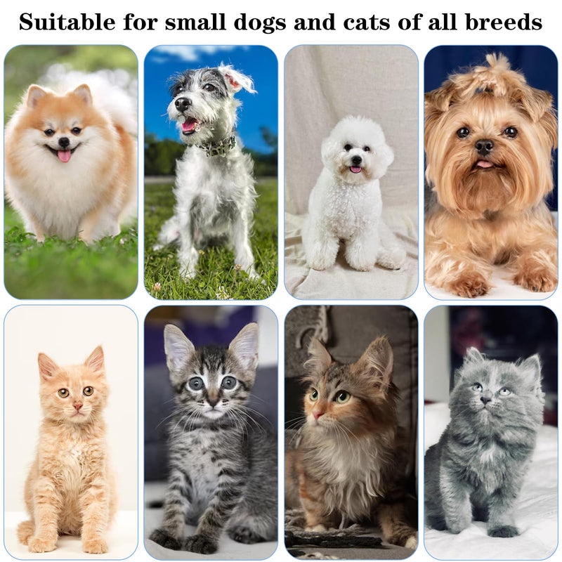 LLOUSSAK Pack of 4 Dog Toothbrush, Cat Toothbrush, Small Round Head | Toothbrush Dog Small, Small Pet Toothbrush Kitten Tooth Brush for Kittens Puppy Teeth Cleaning Oral Care B