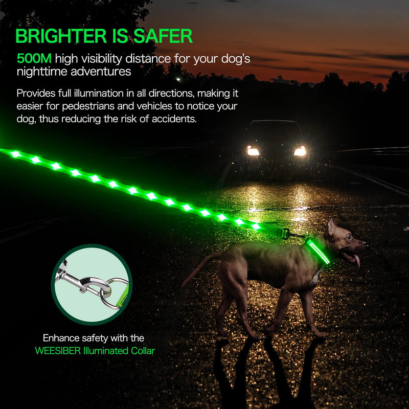 Weesiber Glowing Light Up LED Dog Leash - 4ft USB Rechargeable Flashing Nylon Leash for Small Medium Large Dogs, 3 Flash Modes (Green) Green