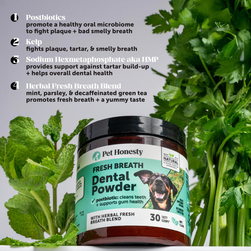 Dog Breath Freshener Dental Powder for Teeth Cleaning Plaque Off, Dental Care for Large Dogs, Tartar Remover for Teeth with Natural Herbal Blend + Postbiotics (Mint - 60 Servings) Dog Dental Powder Large Dog - PawsPlanet Australia