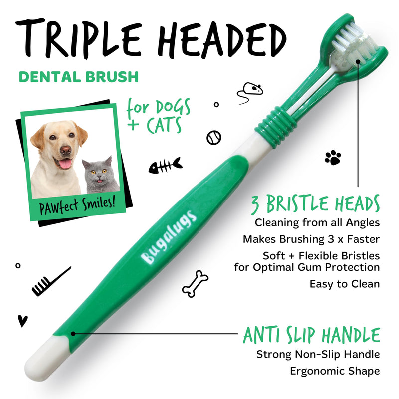 Bugalugs Dog and Cat Dental Care Kit: Toothpaste, 2 Finger Cat Toothbrushes, Dog Toothbrush for Plaque Removal and Fresh Breath 1 count (Pack of 1)