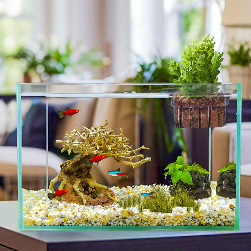 4PCS Clear Aquarium Plant Holder, Hanging Aquatic Plant Pot Holder with Hole, Adjustable Fish Tank Plant Pot for Aquaponic Plant Cultivation Aquarium Water Feature Decoration 4 - PawsPlanet Australia