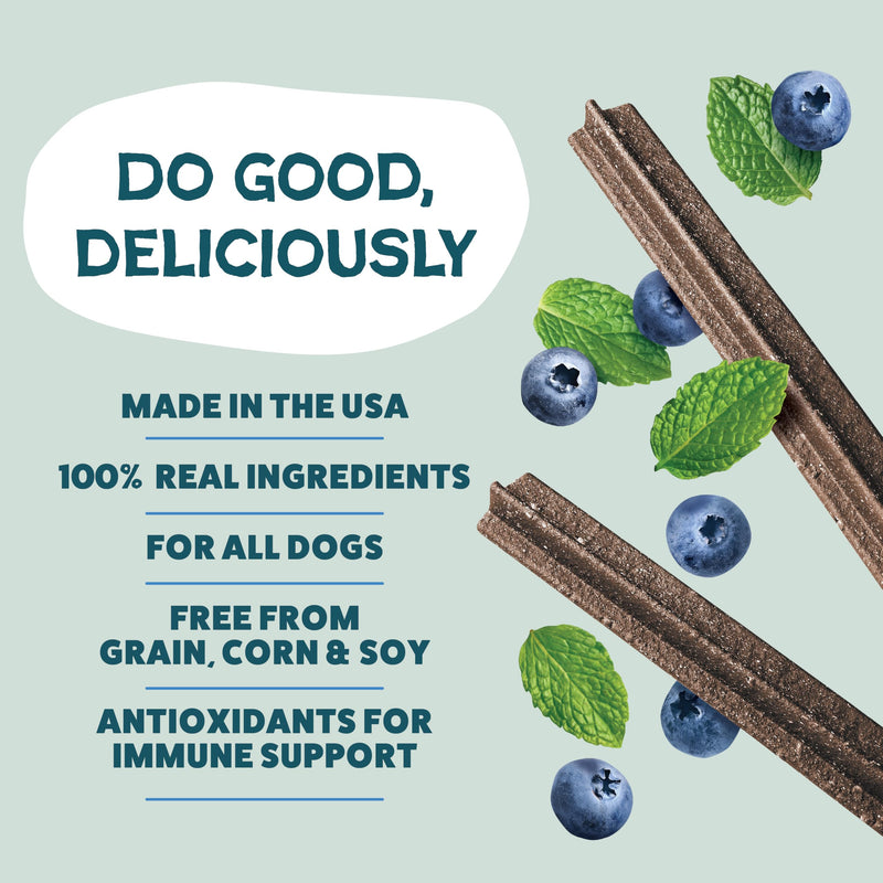 Shameless Pets Blueberry & Mint Dental Chews for Dogs, 32 Chews - Natural Dog Teeth Cleaning Treats with Fresh Breath Benefits | Grain-Free Dental Sticks for Small, Medium & Large Dogs The Tooth Berry 1.75 Pound (Pack of 1)
