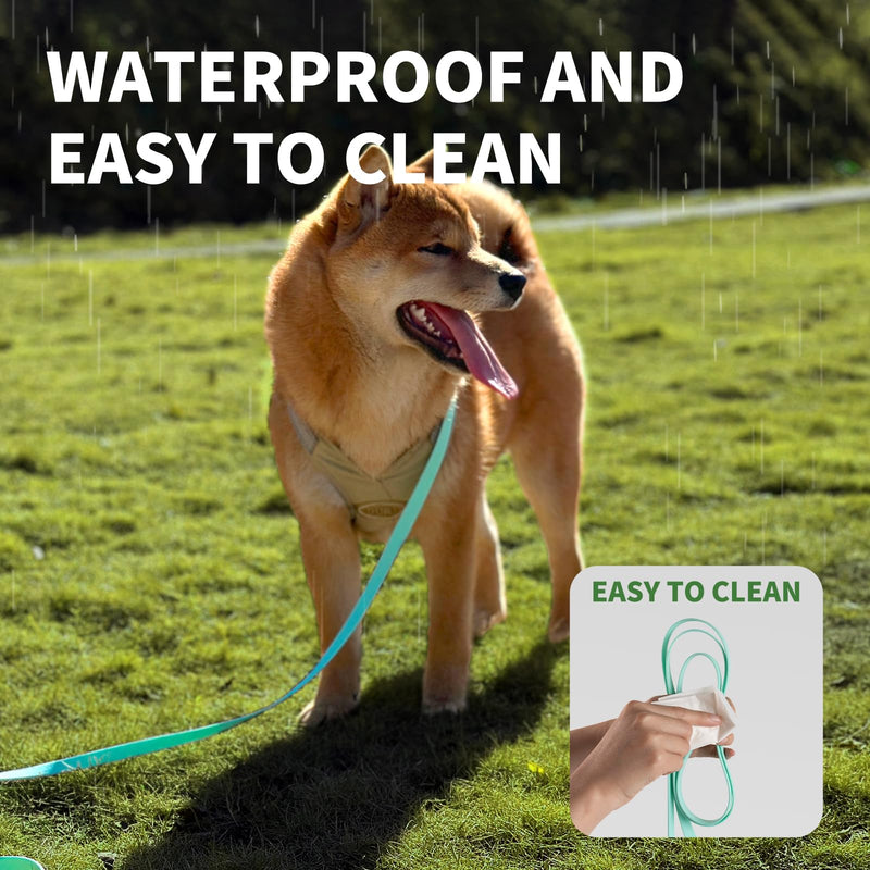 Dog Training Long Leash Waterproof Long Line Heavy Duty Outdoor Recall Lead 10ft 15ft 20ft 30ft 50ft for Small Medium Large Dog (Mint Green, 10FT) Mint green - PawsPlanet Australia