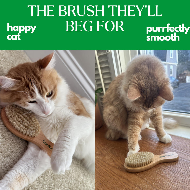 GranNaturals Boar Bristle Soft Cat Brush for Indoor, Outdoor, Short Haired Cats, Kittens, Small Dog, Rabbit, Furry Pets - Gentle Grooming on Sensitive Hair Coat & Tail with Durable Wooden Handle - PawsPlanet Australia