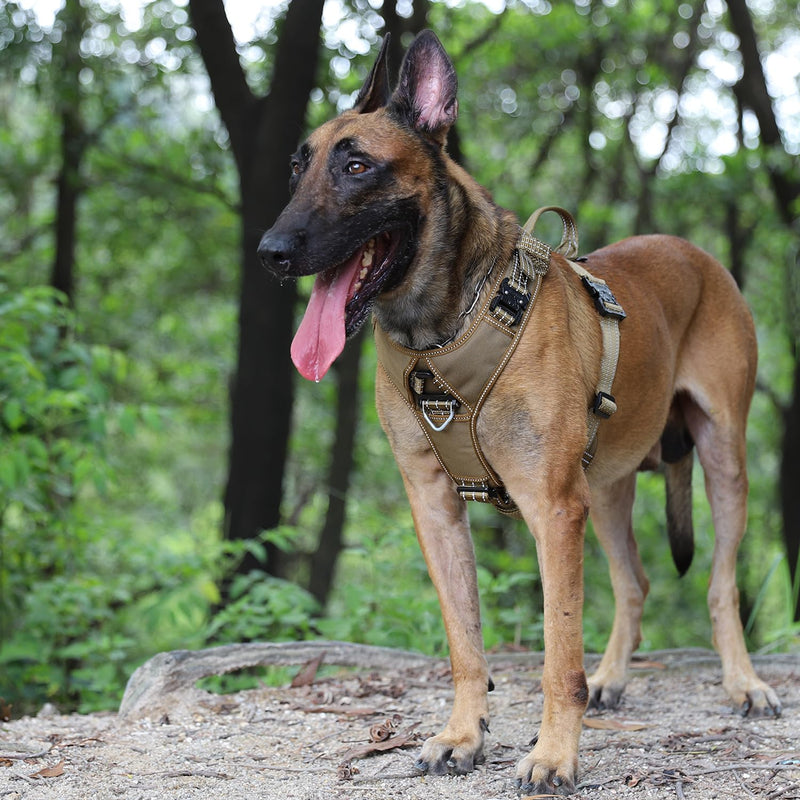 ICEFANG Dog Strap Harness with 4 x Metal Buckles,for Large Sized Dog,K9 Vest,Y-Shape Chest,Adjustable Pet Harness,No-Pull Front Leash Clip (Large (Pack of 1), Brown) Large (Pack of 1) - PawsPlanet Australia