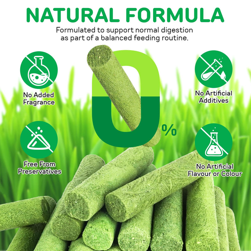 Cat Grass Sticks, Cat Grass Teething Sticks, Natural Oral Hygiene, Cat Treats for Teeth Cleaning and Hairball Removal - 60g