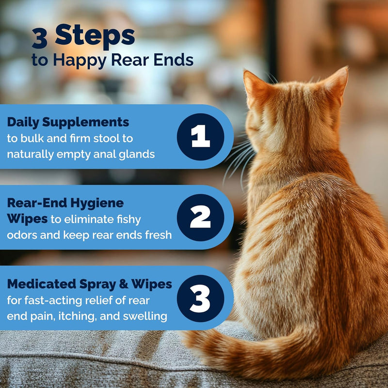 Glandex Feline Anal Gland Fiber Supplement Powder for Cats with Digestive Enzyme, Probiotics and Pumpkin, Vet Recommended for Healthy Bowels - Tuna Flavored 4.0 oz, Scoop Included - PawsPlanet Australia
