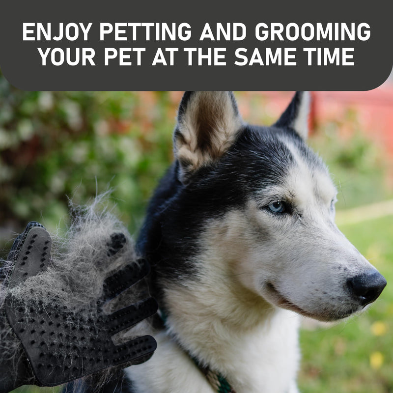 Maxpower Planet Pet Grooming Gloves for Dogs and Cats - Grooming Mitt for Dogs -Cat Gloves - Hair Removal Bruh - All Hair Types Black