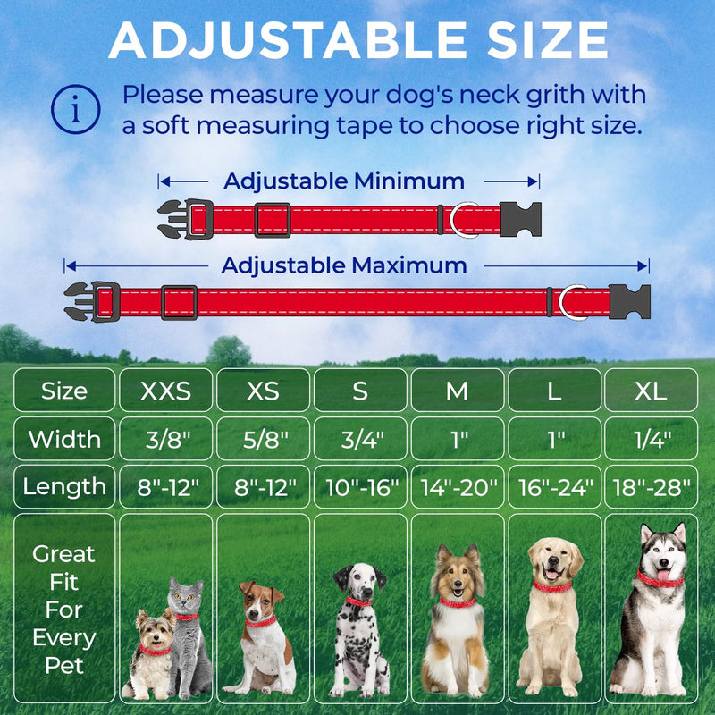 TECEUM Reflective Dog Collar – Red – L – Basic Nylon Pet Collar – Quick Release Buckle – Fits Small, Medium and Large Dogs, Puppies, Cats – ESA & Service Dog Options - PawsPlanet Australia
