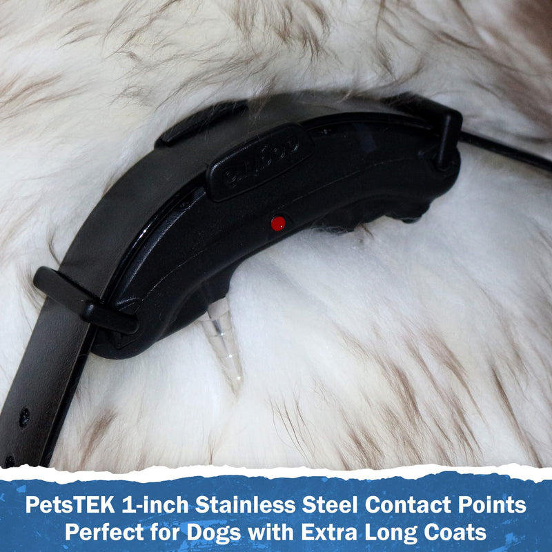 Replacement Prongs 3/4-Inch Stainless Steel Contact Points Compatible with Dogtra Remote Trainers and Bark Collars 1900S/ARC/iQ Plus/200C/280C/2700T&B/EDGE/YS-600/YS-300 - PetsTEK Brand - Made in USA - PawsPlanet Australia