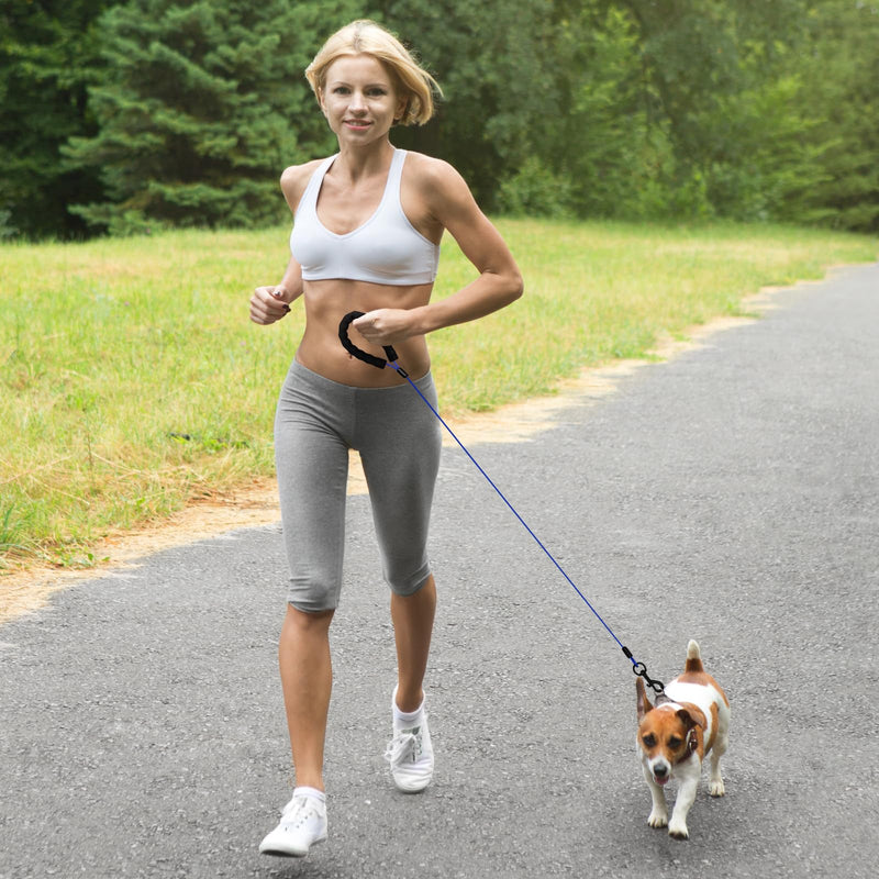 Heavy Duty Dog Leashes with Chew Proof and Comfortable Padded Handle 4/5/6 FT, Steel Metal Safety Lead Rope with Retractable Buckle for Large or Medium Dogs Walk and Train -Blue(4FT) 4FT A24002 Blue - PawsPlanet Australia