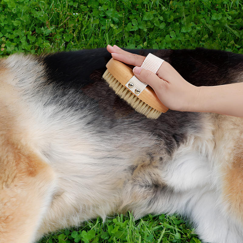 SUPVOX Short Hair Dog Brush - Pets Palm Brush with Bristles,Soft Bristle Pet Brush for Daily Grooming Cats Dogs - PawsPlanet Australia